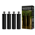 Aquaticstream CarbonFlow Black Filters