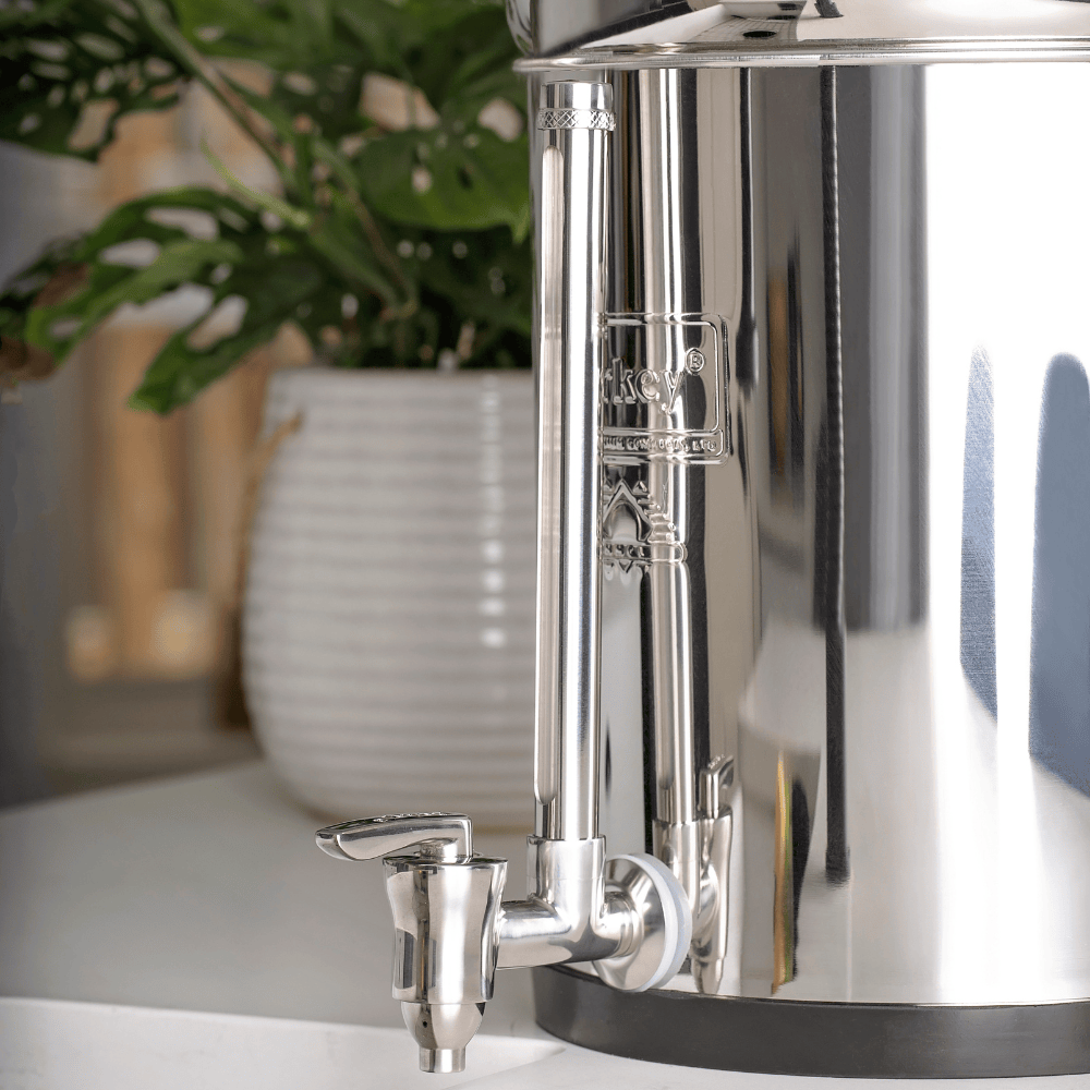 Royal Berkey waterfiltersysteem